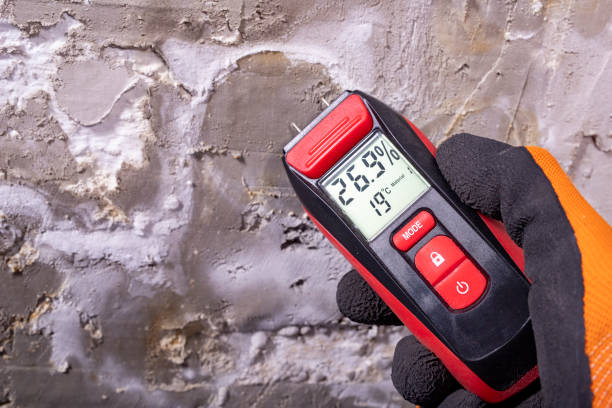 Best Water Damage Restoration  in Choteau, MT