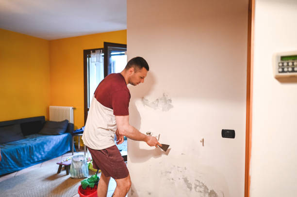 Best Mold Removal Process  in Choteau, MT