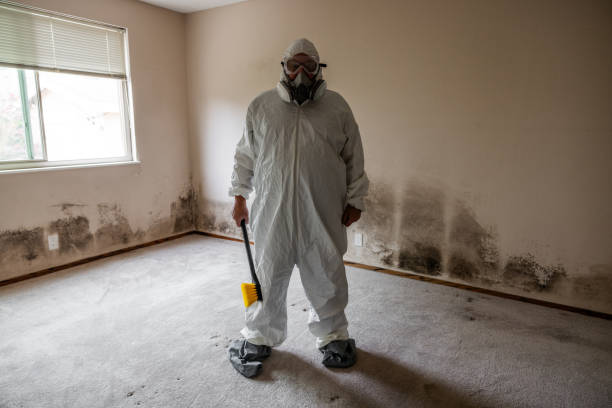 Home Mold Removal in Choteau, MT